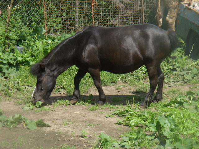 vernířovice 025